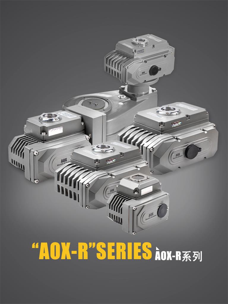 AOX-R系列電動(dòng)執(zhí)行器 AOX-R系列電動(dòng)執(zhí)行器