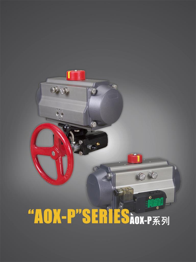 AOX-P系列電動(dòng)執(zhí)行器 AOX-P系列電動(dòng)執(zhí)行器